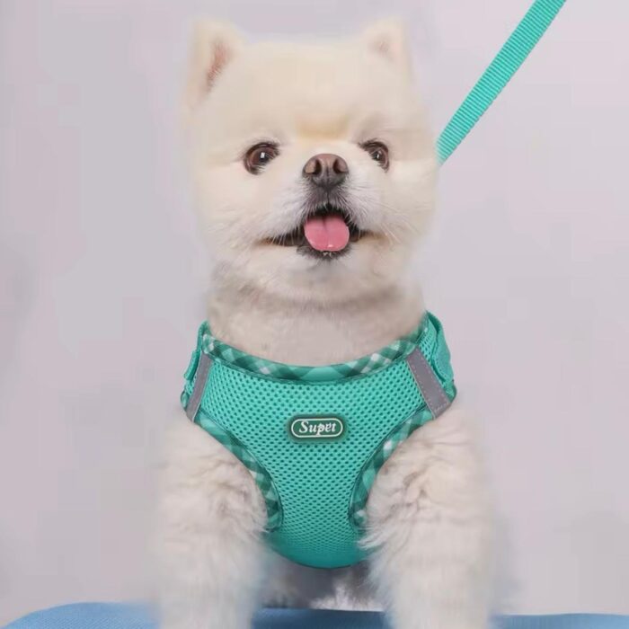 Harness