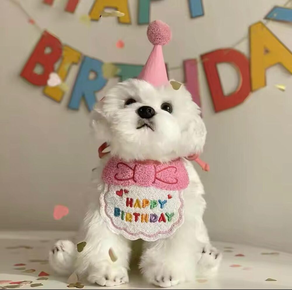 Birthday Outfit
