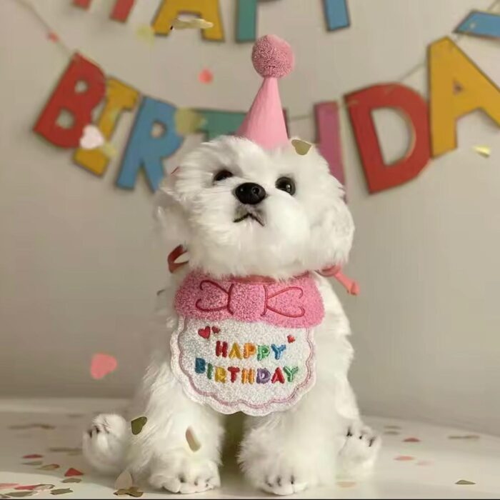 Birthday Outfit