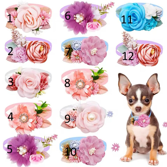 Flower Collar