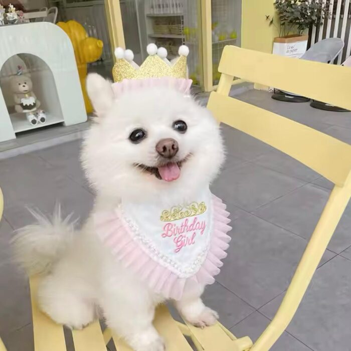 Birthday Outfit