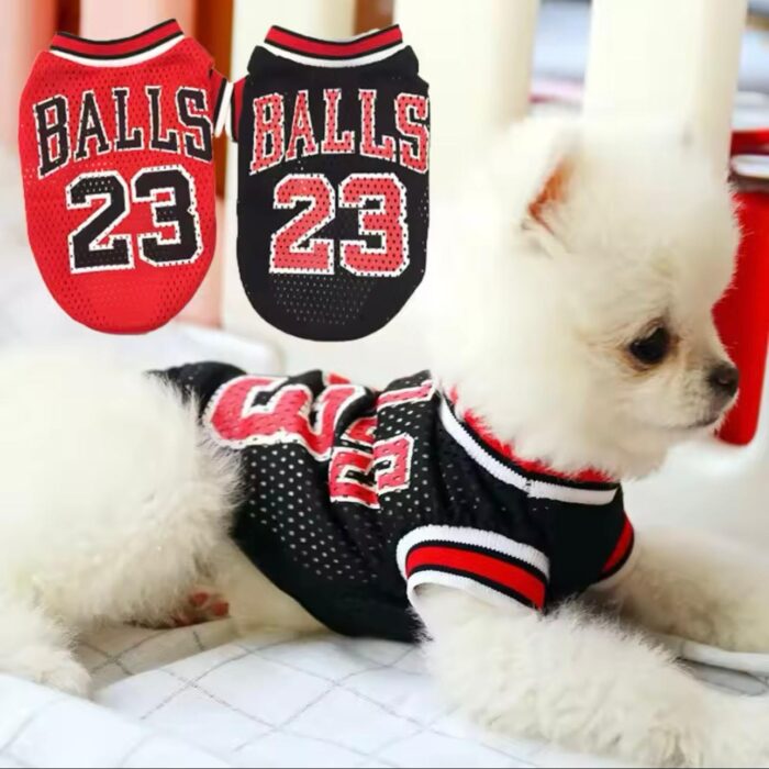 Jersey