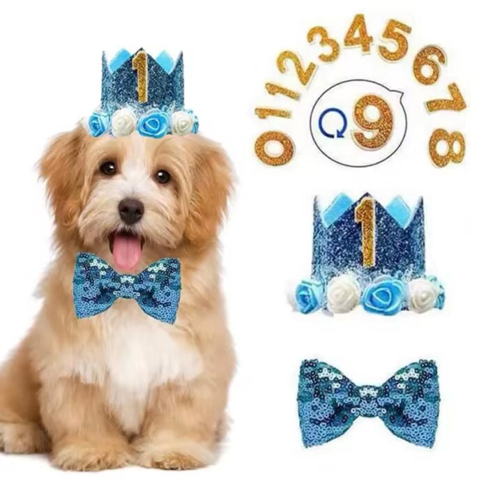 Birthday Outfit